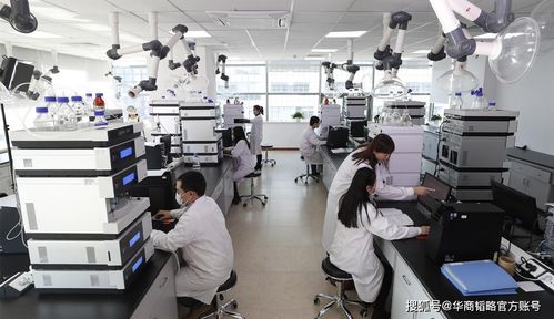 中國生物醫(yī)藥產(chǎn)業(yè) 破局與自強之路