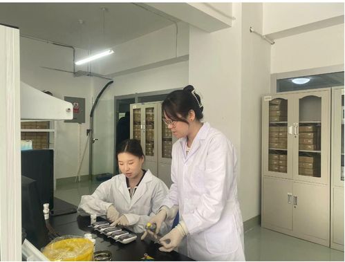 小巨人蘊(yùn)含大能量 恒升醫(yī)學(xué)以科技創(chuàng)新賦能生物醫(yī)療產(chǎn)業(yè)高質(zhì)量發(fā)展