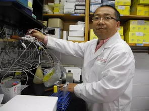 科技賦能，古樹新生 姜明國(guó)與生物科技讓六堡茶煥發(fā)青春