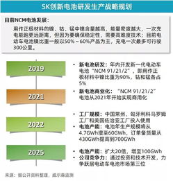 5月新能源乘用車市場增速放緩，投資管理面臨新考量