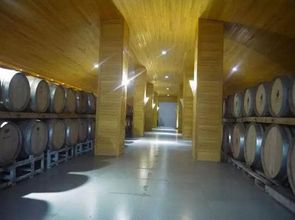 農(nóng)莊主如何在新疆沙漠打造最大的 休閑農(nóng)莊