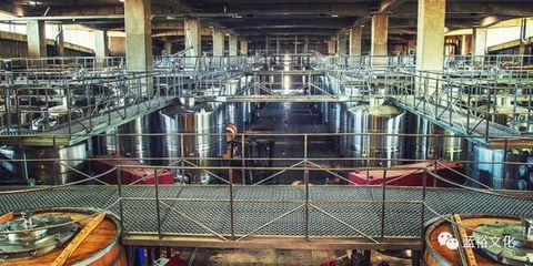 世界最佳酒莊之蒙特斯酒莊:懂陰陽(yáng)的天使