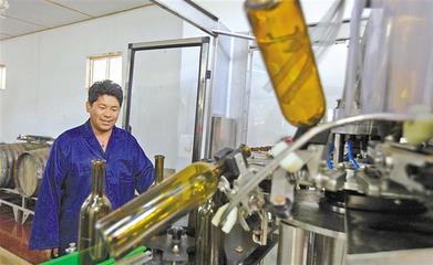 2019年西藏非公經(jīng)濟擴量提質(zhì)活力澎湃取得豐碩成果