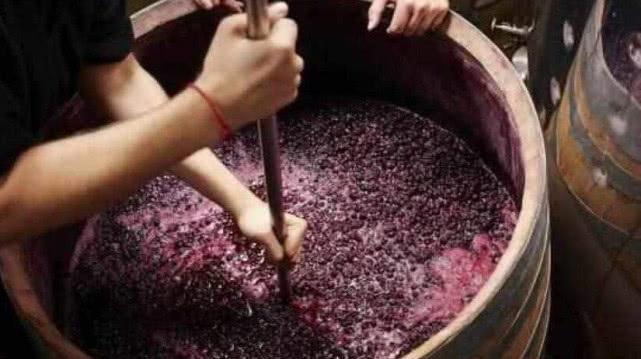 國(guó)外高端的葡萄酒,真是用腳踩出來(lái)的嗎?看完你還敢不敢喝