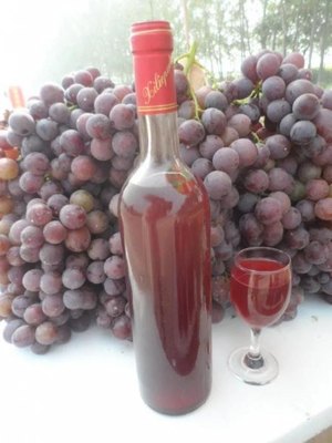 葡萄酒咋做,怎么做葡萄酒在家自己做
