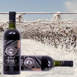 紫隆山紅寶石冰酒 品味時(shí)光凝萃，共創(chuàng)財(cái)富未來(lái)——通化紫隆山葡萄酒廠(chǎng)火熱招商